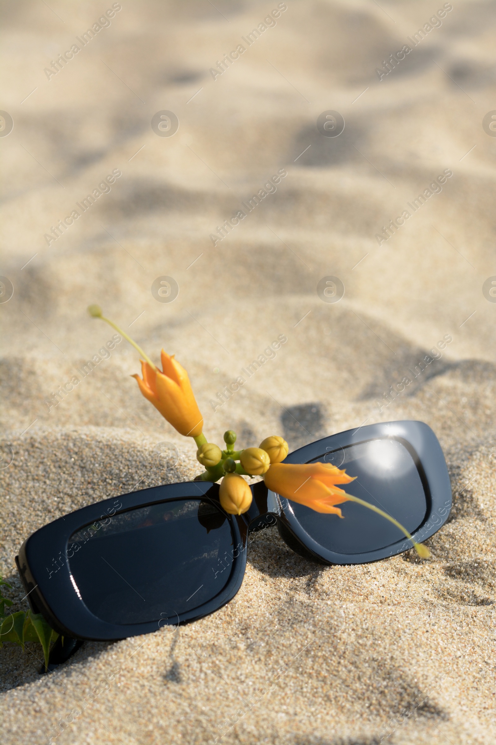 Photo of Stylish sunglasses and tropical flower on sand, closeup. Space for text