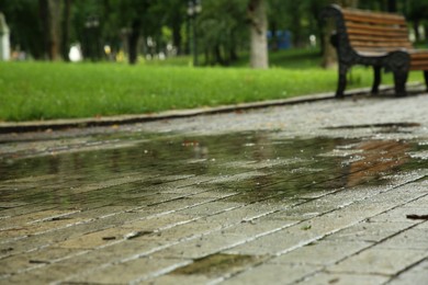 Photo of Puddle of rain water on paved pathway in park