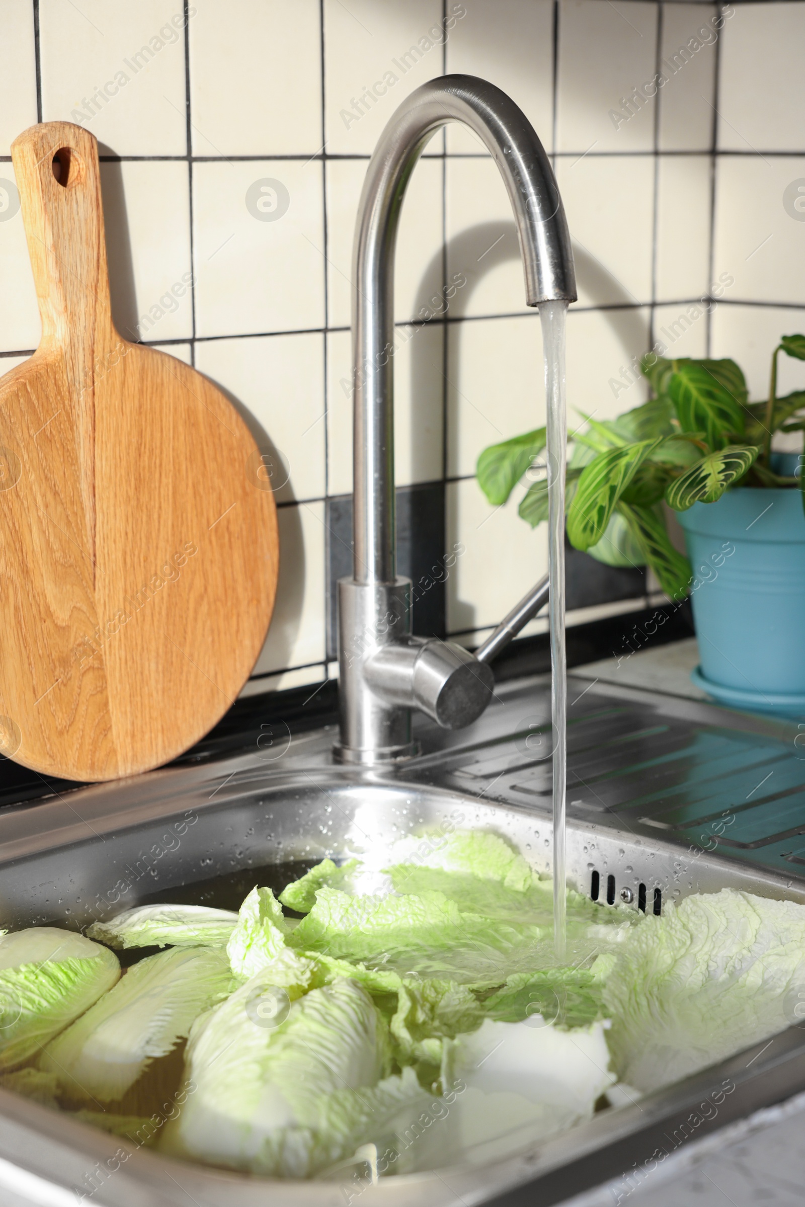 Photo of Pouring tap water on Chinese cabbage leaves in sink