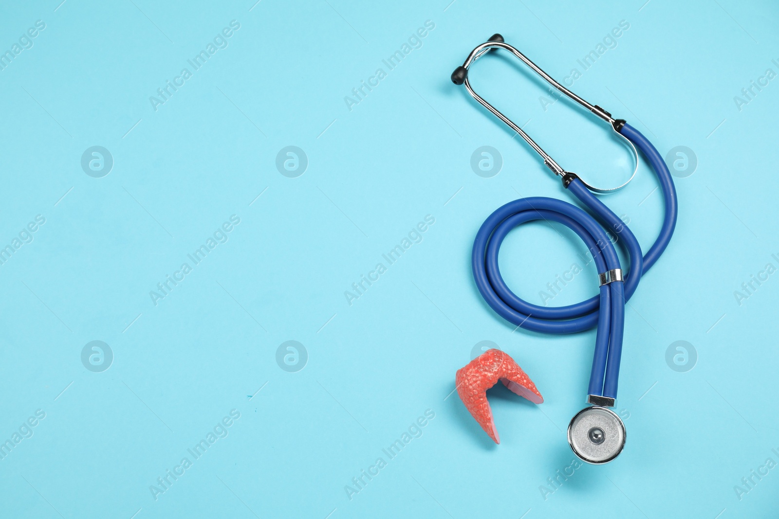 Photo of Endocrinology. Stethoscope and model of thyroid gland on light blue background, top view. Space for text