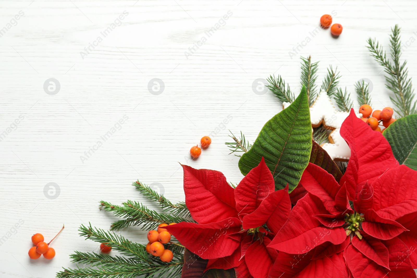 Photo of Flat lay composition with poinsettias (traditional Christmas flowers) and fir branches on white wooden table. Space for text