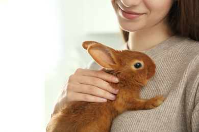 Photo of Young woman with adorable rabbit indoors, closeup. Lovely pet