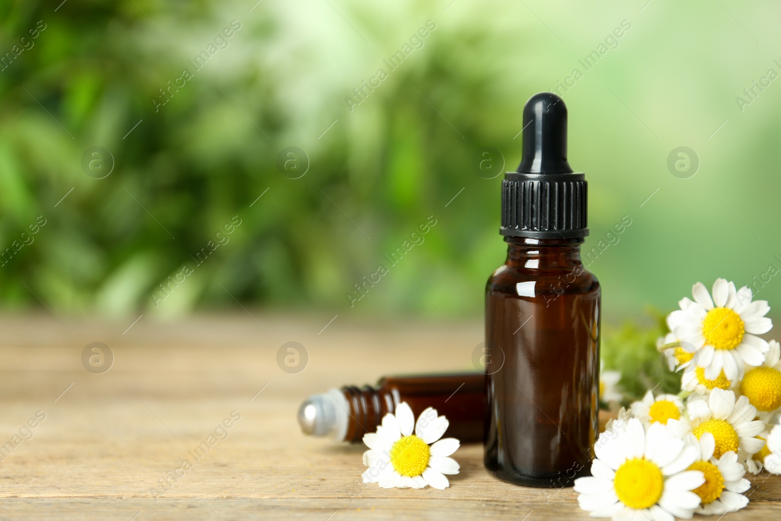 Photo of Bottles of essential oil and chamomiles on wooden table. Space for text