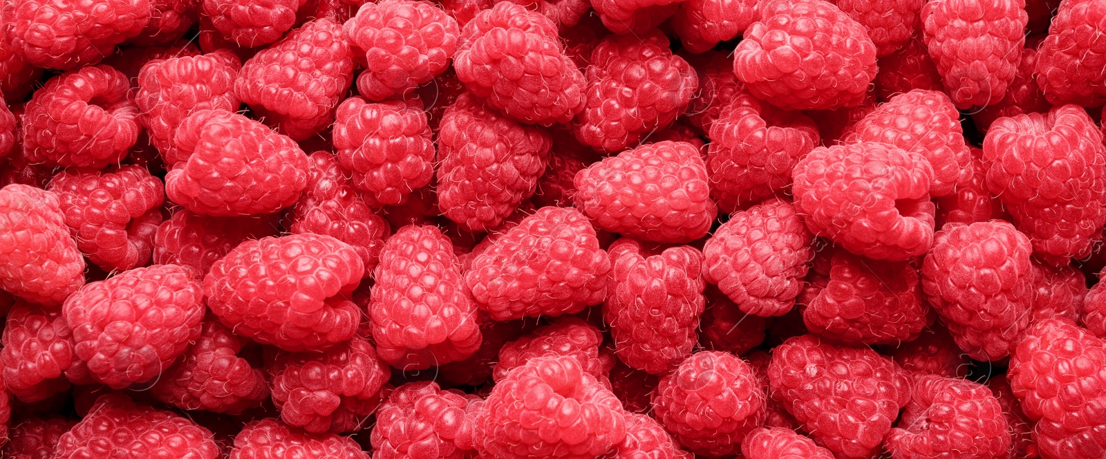 Photo of Fresh sweet ripe raspberries as background, closeup