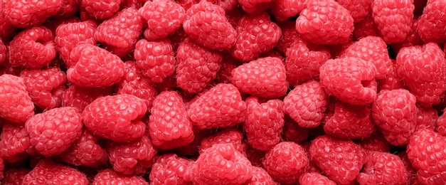 Photo of Fresh sweet ripe raspberries as background, closeup