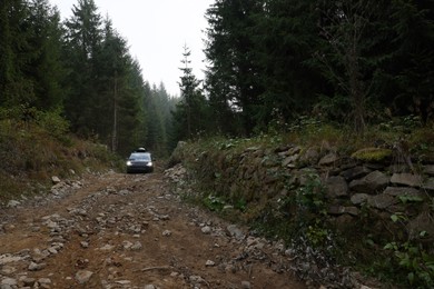 Photo of Modern black van on pathway in forest