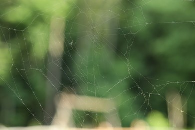 Photo of Old dusty cobweb on blurred background, closeup