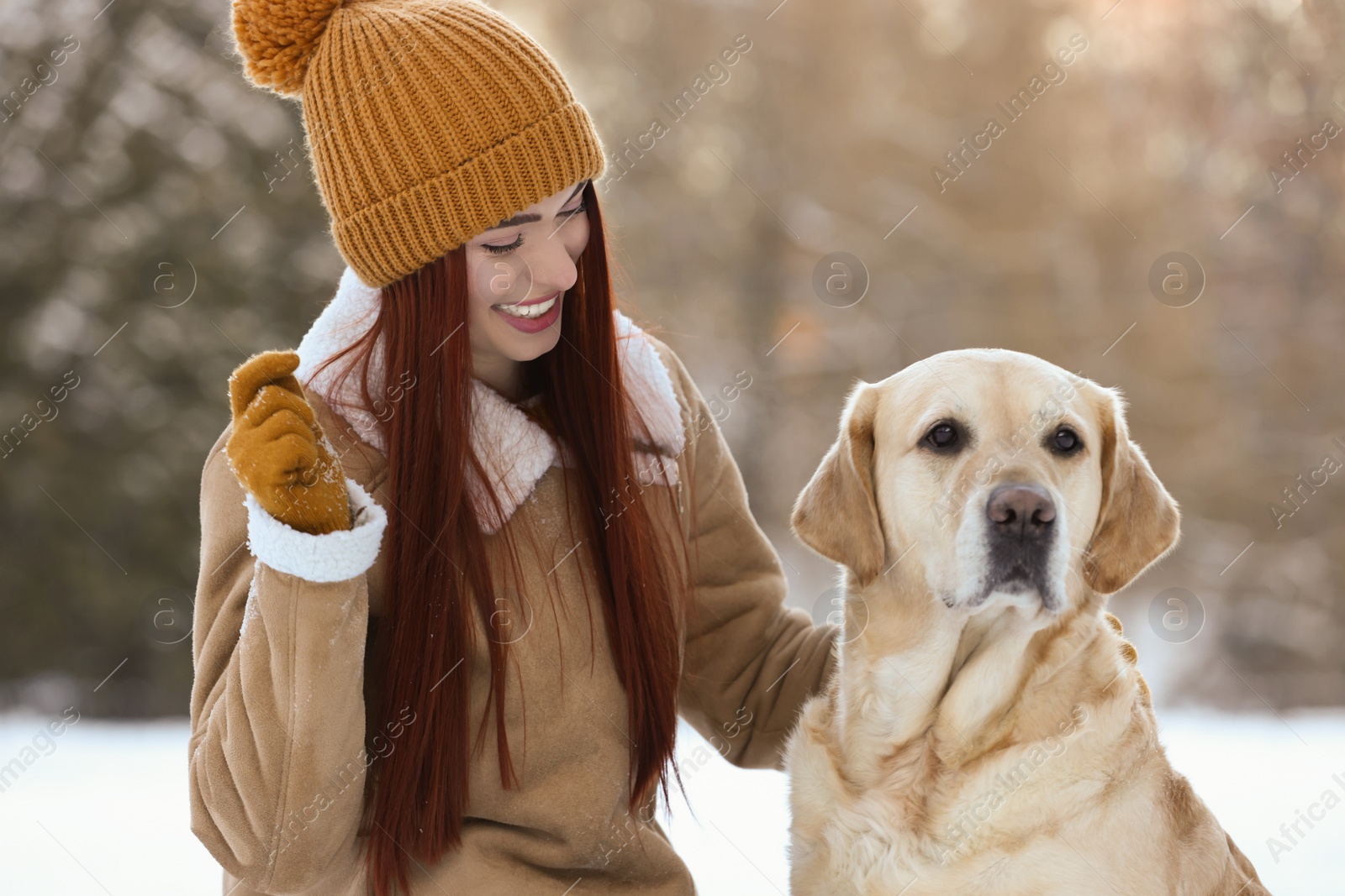 Photo of Beautiful young woman with adorable Labrador Retriever on winter day outdoors