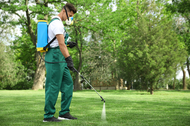 Photo of Worker spraying pesticide onto green lawn outdoors. Pest control