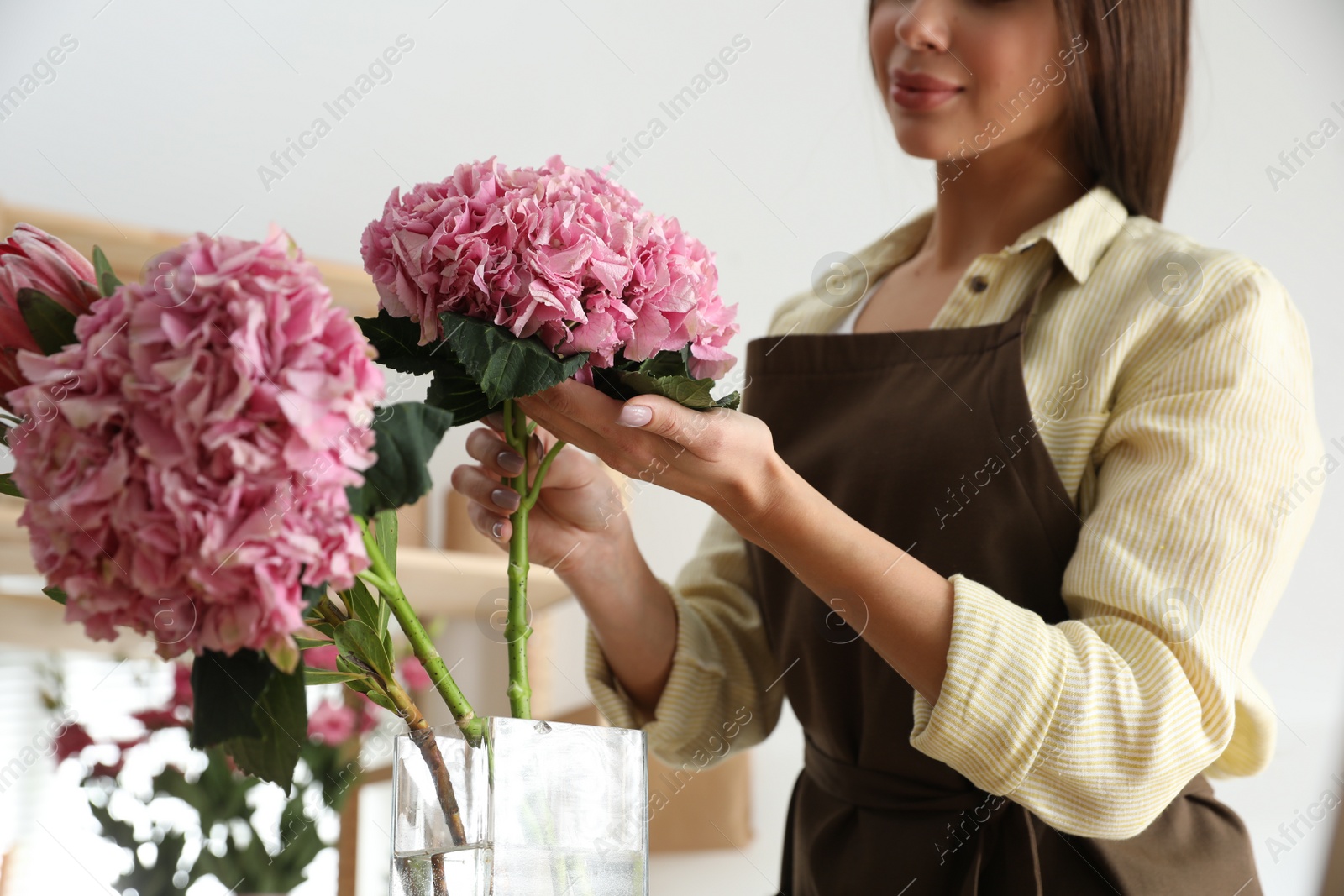 Photo of Florist with beautiful flowers in workshop, closeup