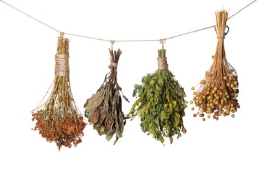 Photo of Rope with bunches of different dry herbs isolated on white