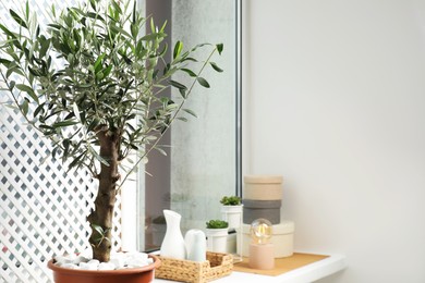 Beautiful potted olive tree and stylish accessories on window sill indoors