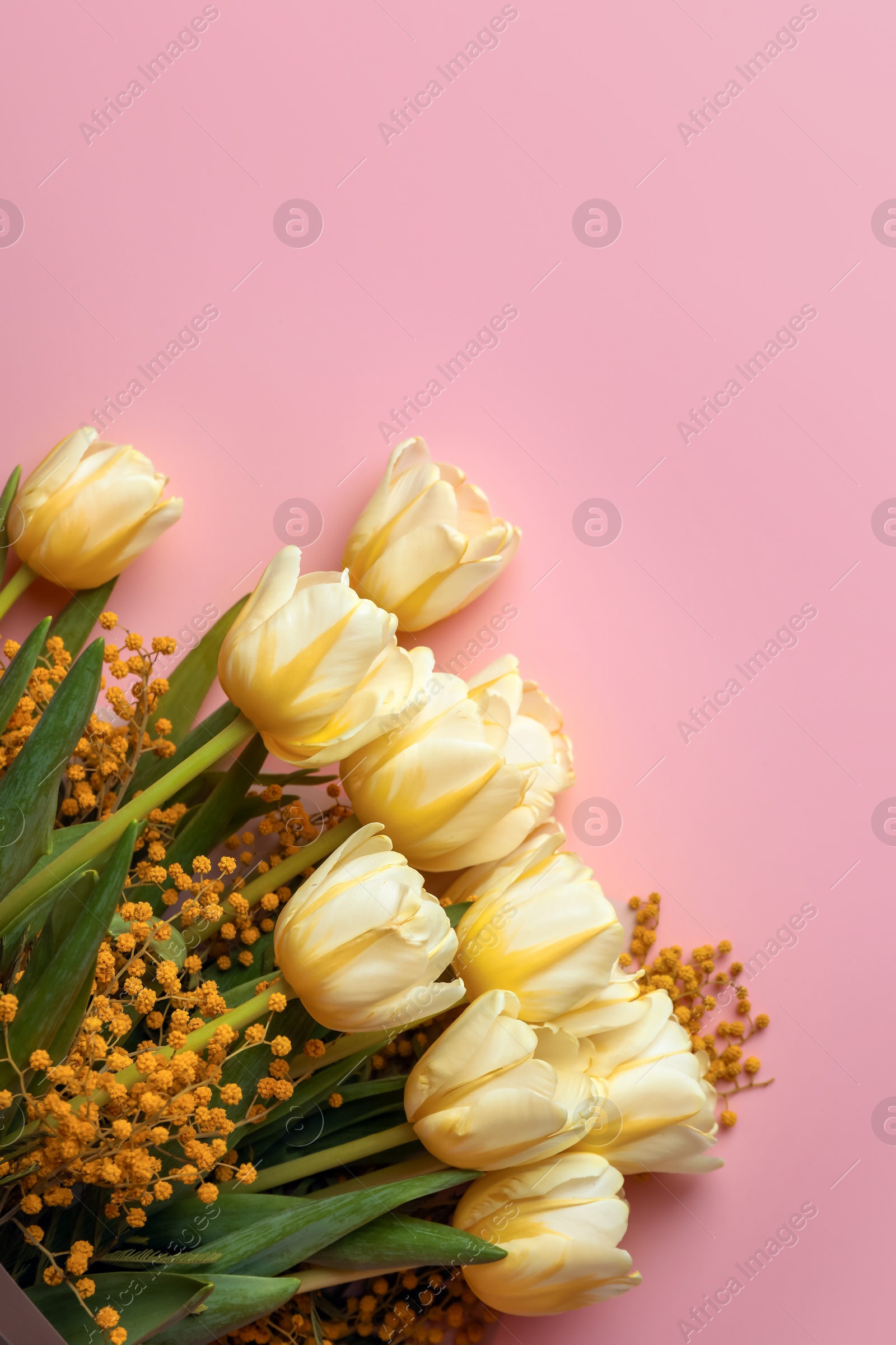 Photo of Bouquet with beautiful tulips and mimosa flowers on pink background, top view. Space for text