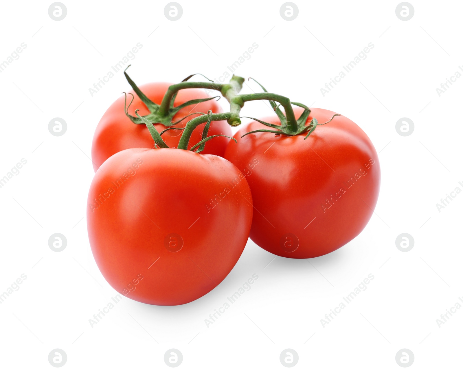 Photo of Branch of ripe red tomatoes on white background