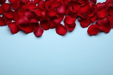 Photo of Beautiful red rose flower petals on light blue background, flat lay. Space for text