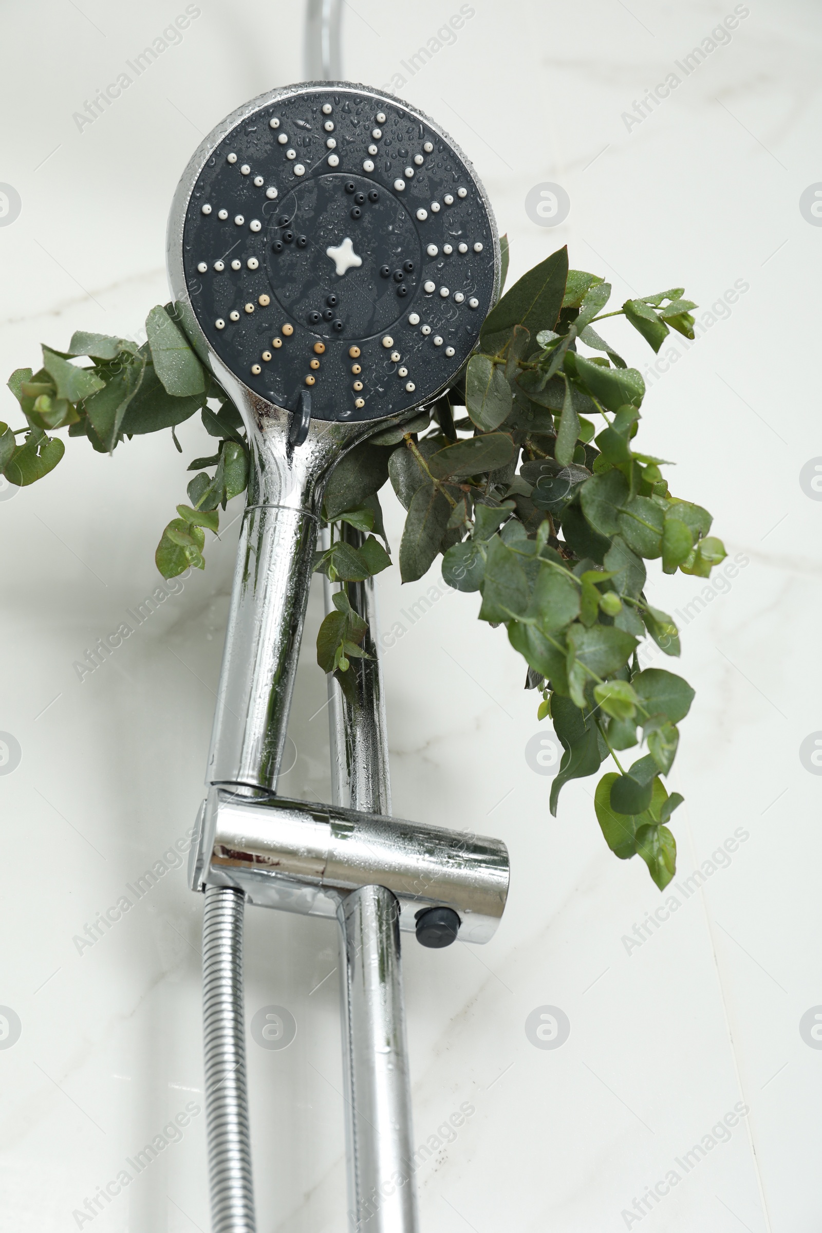 Photo of Branches with green eucalyptus leaves in shower, low angle view