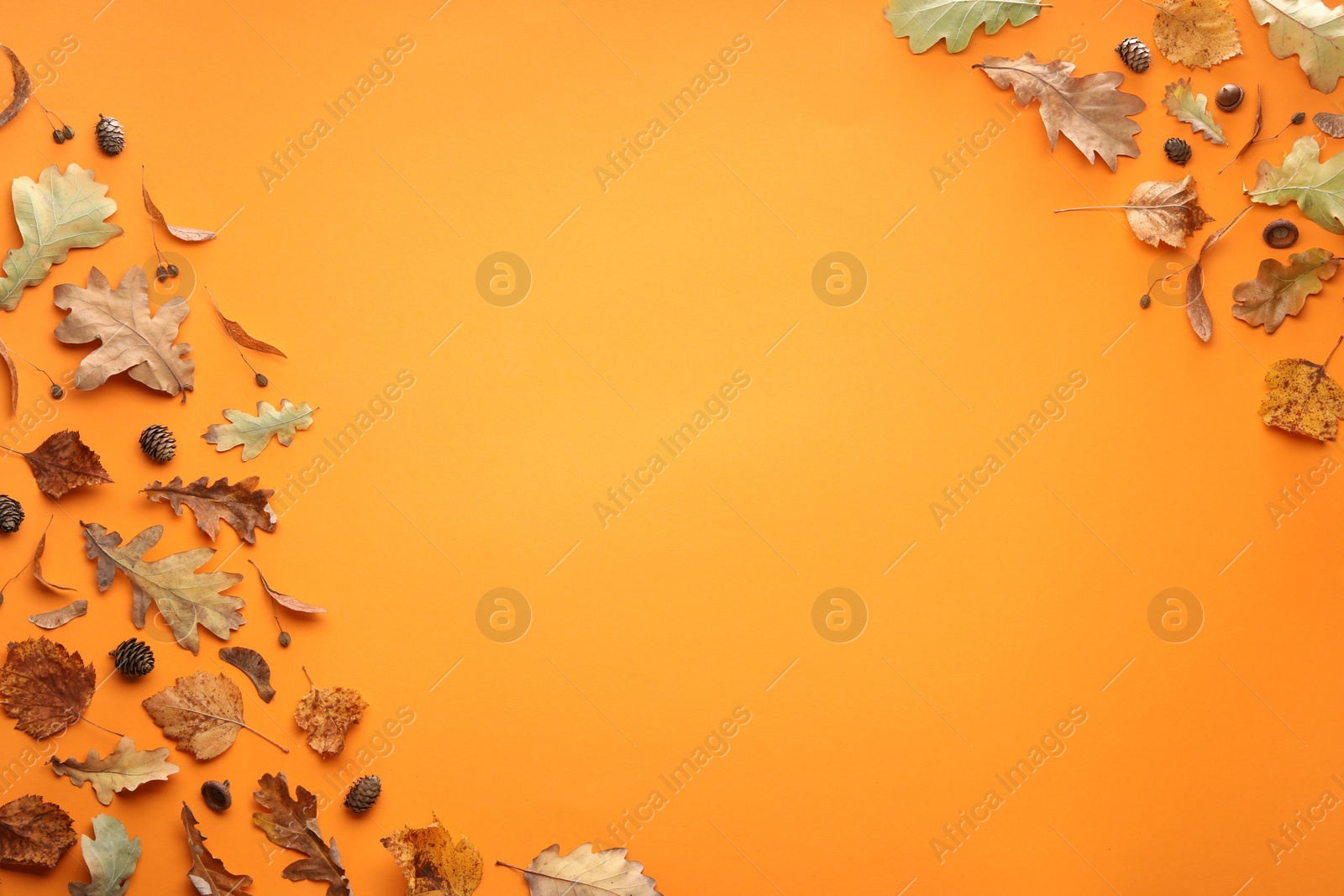 Photo of Autumn composition with dry leaves and cones on orange background, flat lay. Space for text