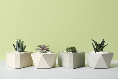 Photo of Beautiful succulent plants in stylish flowerpots on table against green background, space for text. Home decor
