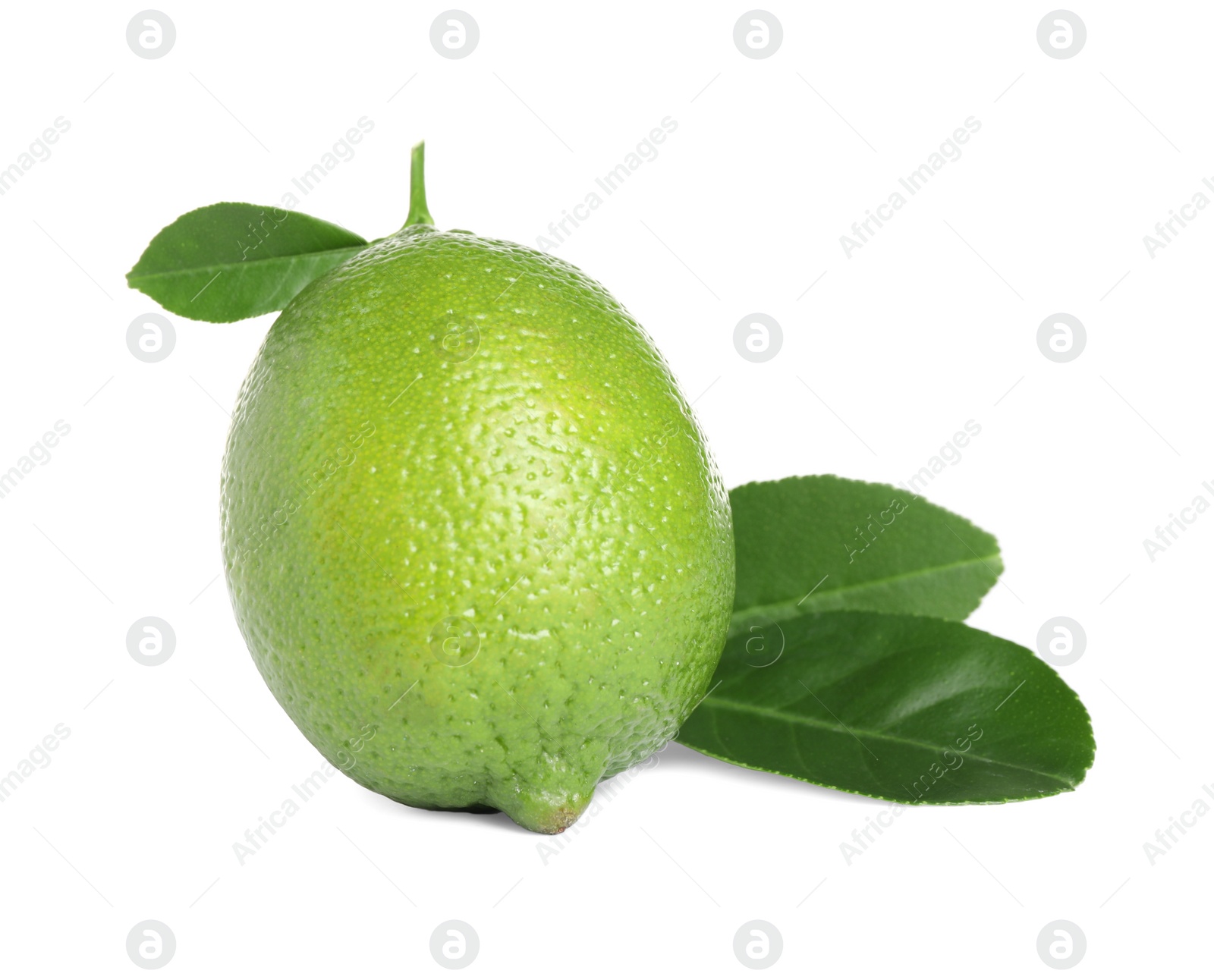 Photo of Fresh ripe lime with green leaves isolated on white