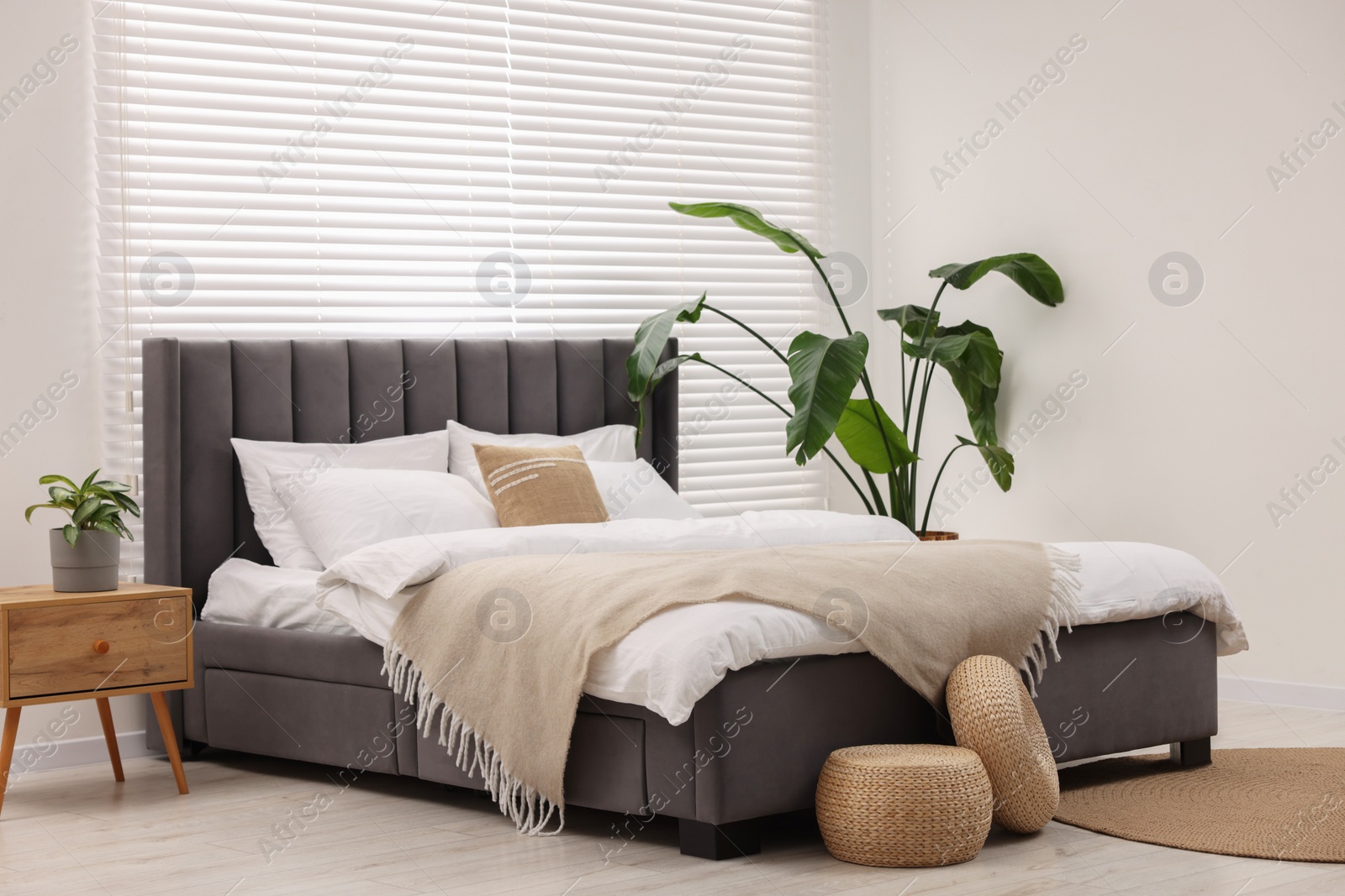 Photo of Large bed and houseplants in stylish bedroom. Interior design