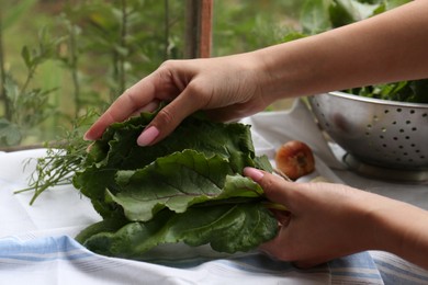 Photo of Woman holding fresh green leaves indoors, closeup. Drying herbs