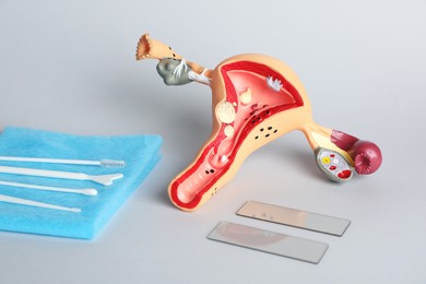 Photo of Model of female reproductive system and gynecological examination kit on grey background