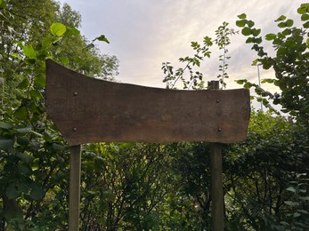 Blank wooden signboard and different plants outdoors