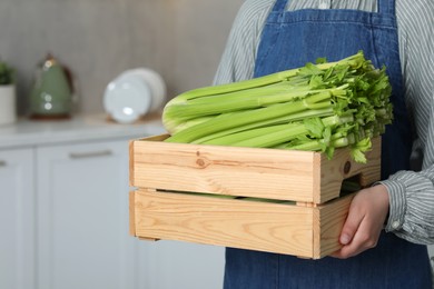 Photo of Woman holding crate with fresh green celery in kitchen, closeup. Space for text