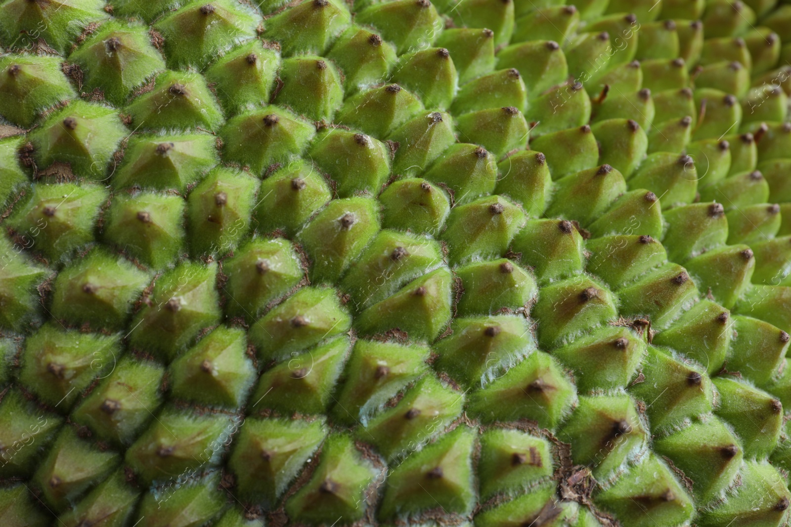 Photo of Delicious fresh exotic jackfruit as background, closeup