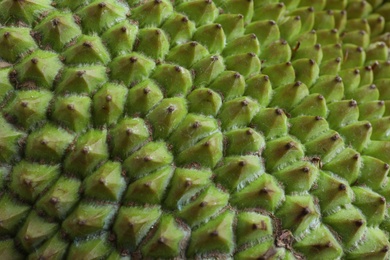 Delicious fresh exotic jackfruit as background, closeup