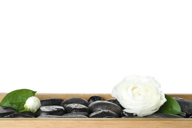 Photo of Wooden tray with wet spa stones and ranunculus flowers against white background