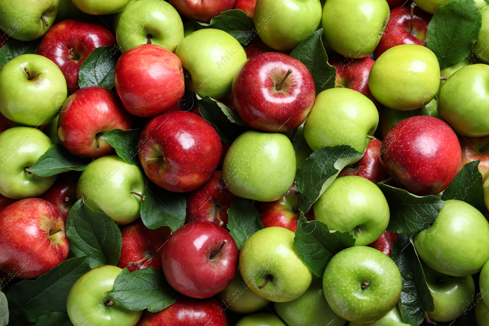 Photo of Pile of tasty ripe apples with leaves as background, top view