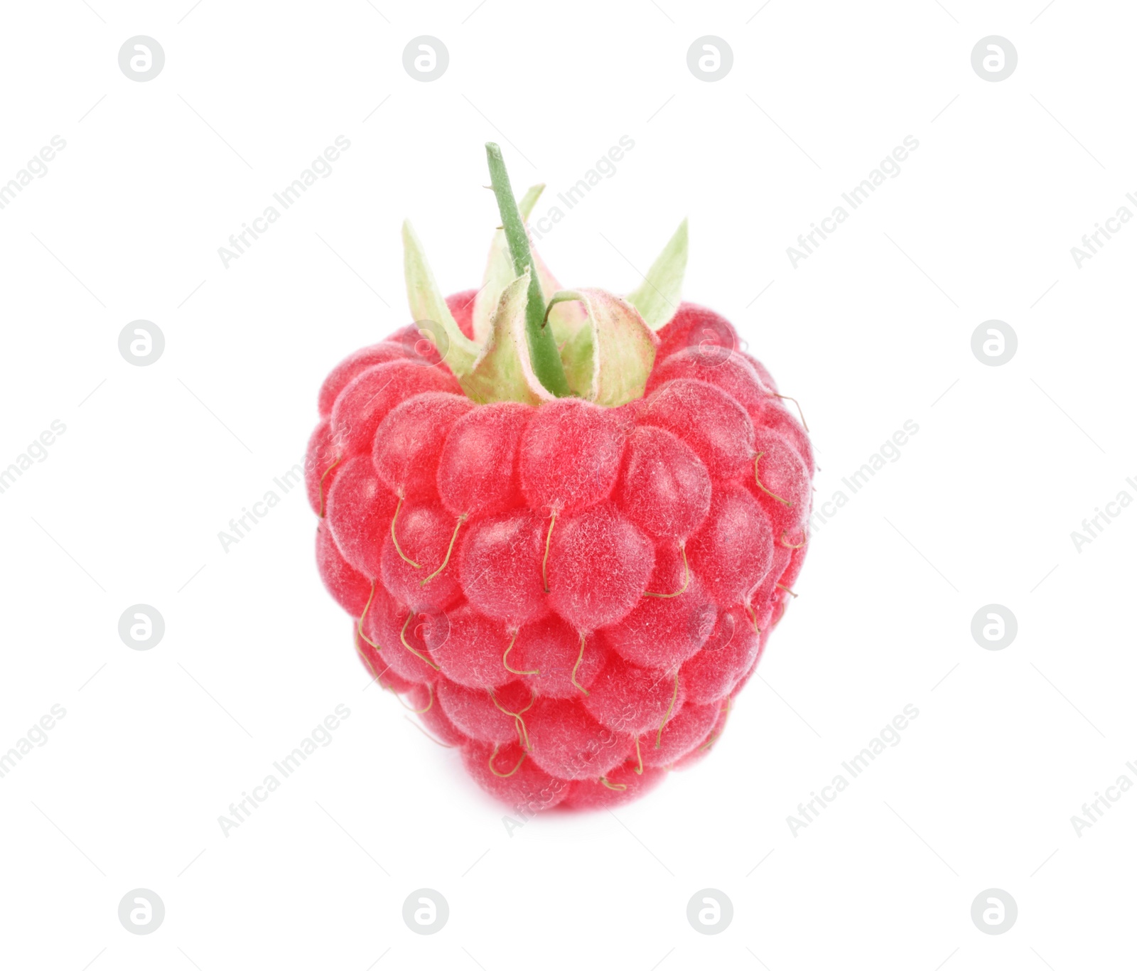 Photo of One tasty ripe raspberry isolated on white