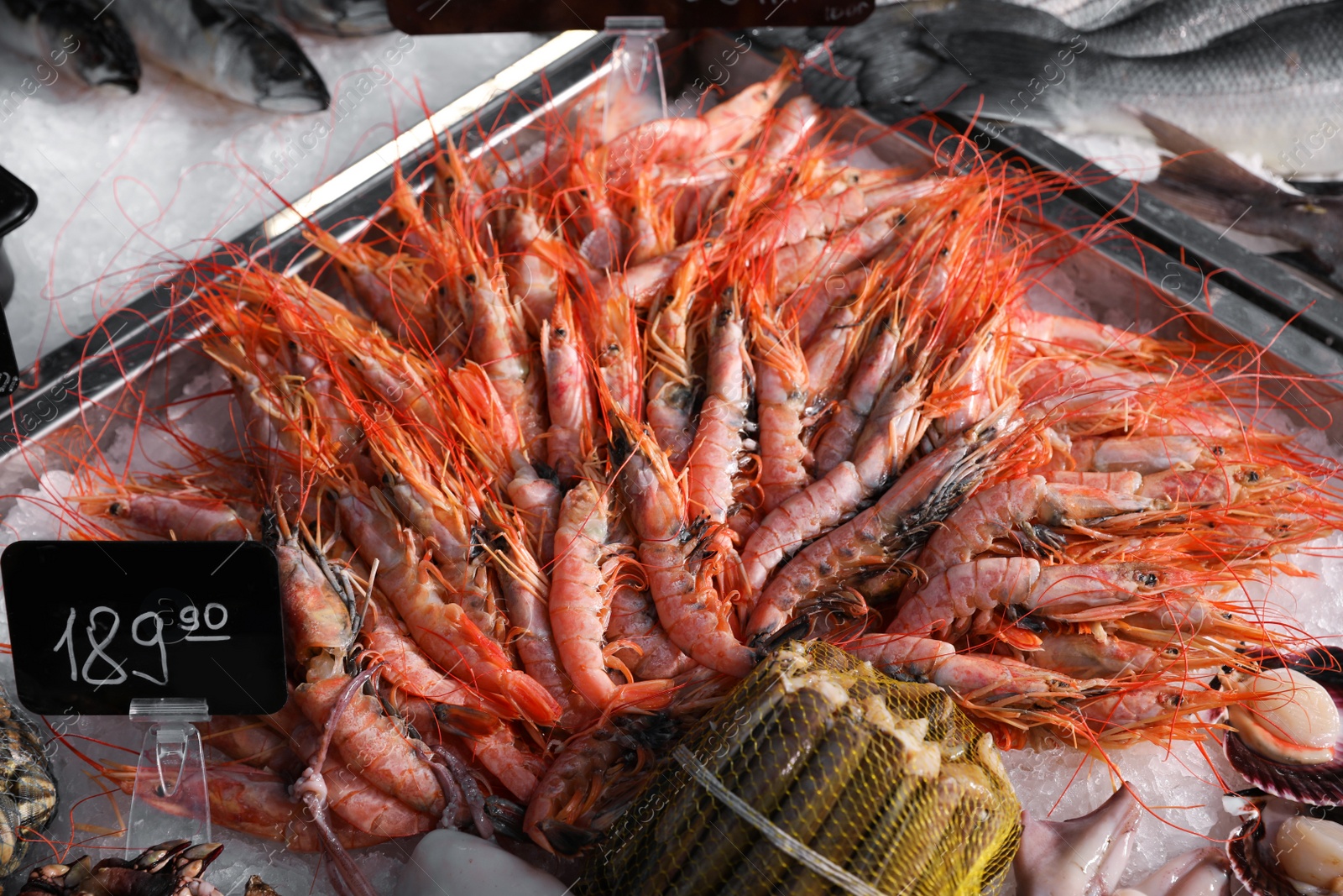 Photo of Fresh shrimps and other seafood on ice. Wholesale market