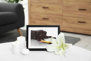 Photo of Pet funeral. Frame with picture of dog, burning candles and lily flower on white table indoors