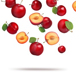 Image of Many fresh cherry plums falling on white background