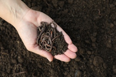 Photo of Woman holding soil with earthworms above ground, top view. Space for text