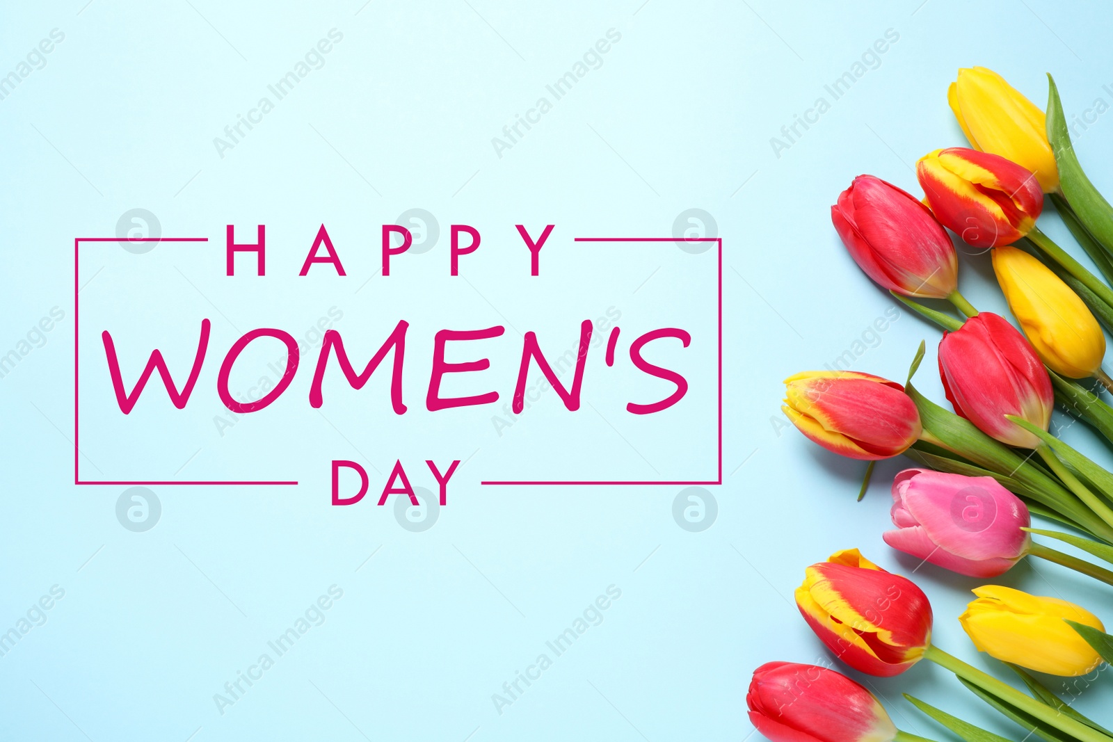 Image of Beautiful spring tulips on light blue background, flat lay. Happy Women's Day