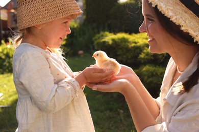 Photo of Happy mother and her little daughter with cute chick outdoors
