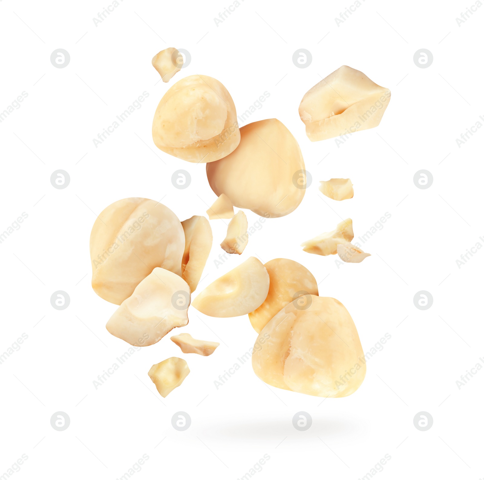 Pieces of tasty hazelnuts falling on white background Image of Pieces of tasty hazelnuts falling on white background