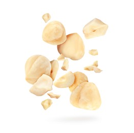 Image of Pieces of tasty hazelnuts falling on white background