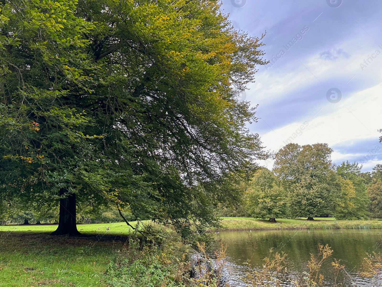 Photo of Beautiful pond and trees in autumn park