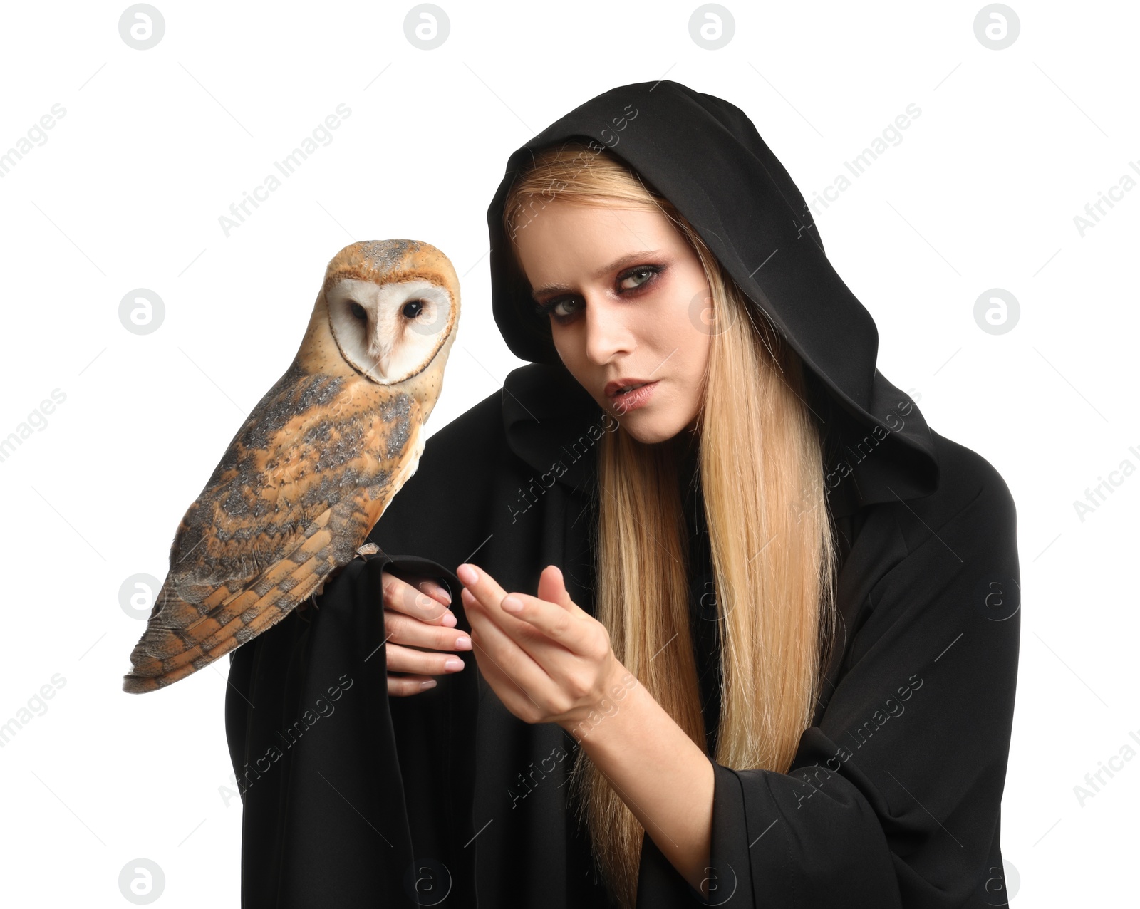 Photo of Witch in black mantle with owl isolated on white. Scary fantasy character