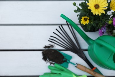 Beautiful blooming flowers, watering can, gloves and gardening tools on white wooden table, flat lay. Space for text