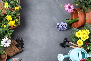Flat lay composition with gardening equipment and flowers on color background, space for text