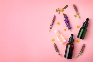 Photo of Bottles of different essential oils and wildflowers on color background, flat lay. Space for text