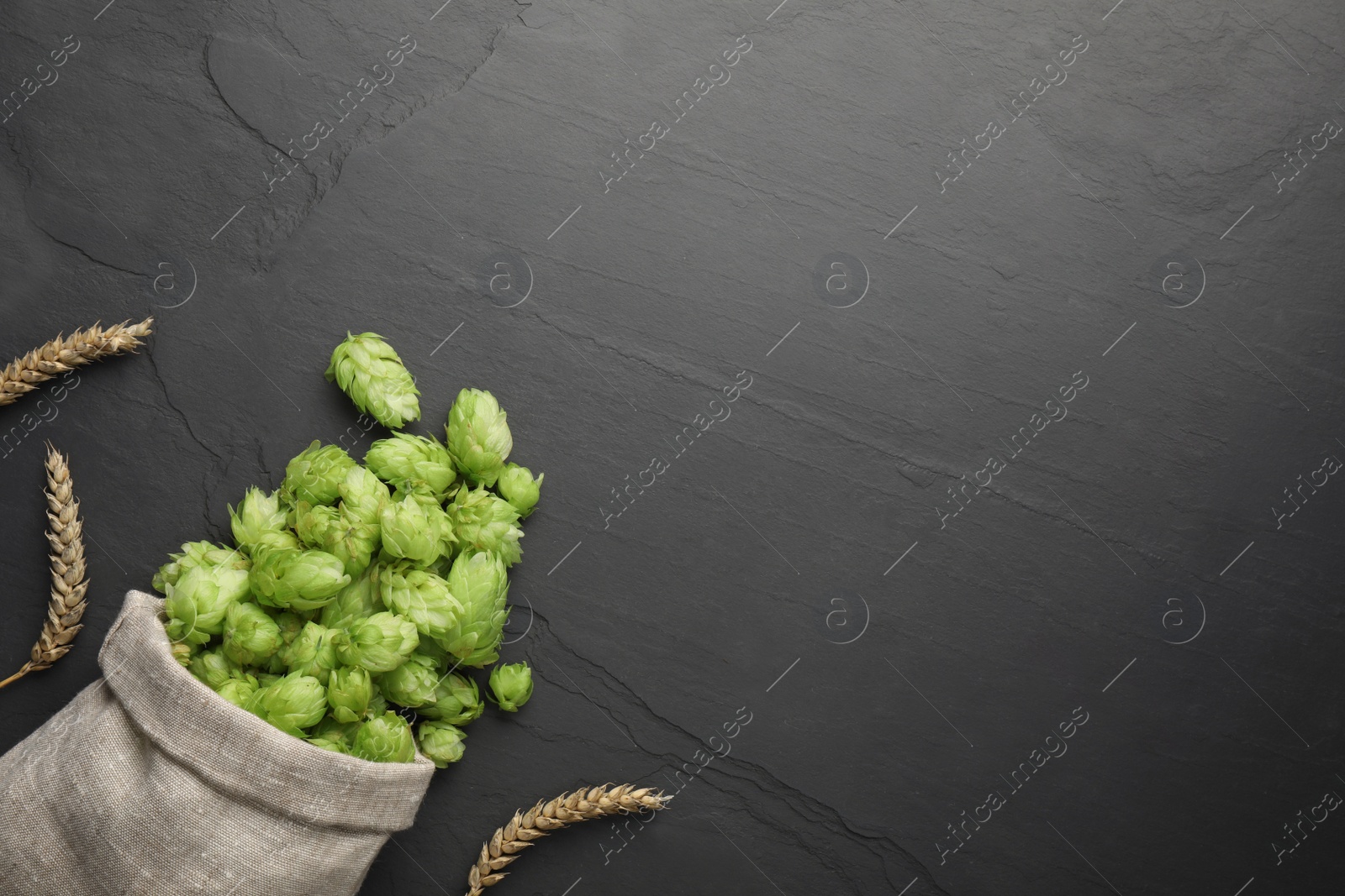 Photo of Sack with fresh green hops and spikes on black table, flat lay. Space for text