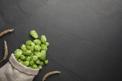 Sack with fresh green hops and spikes on black table, flat lay. Space for text