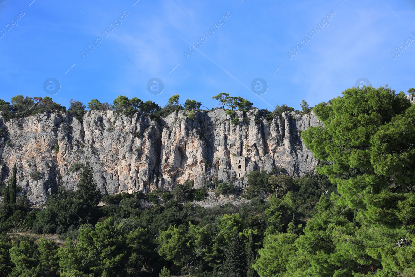 Photo of Picturesque view of beautiful mountain with trees under blue sky outdoors