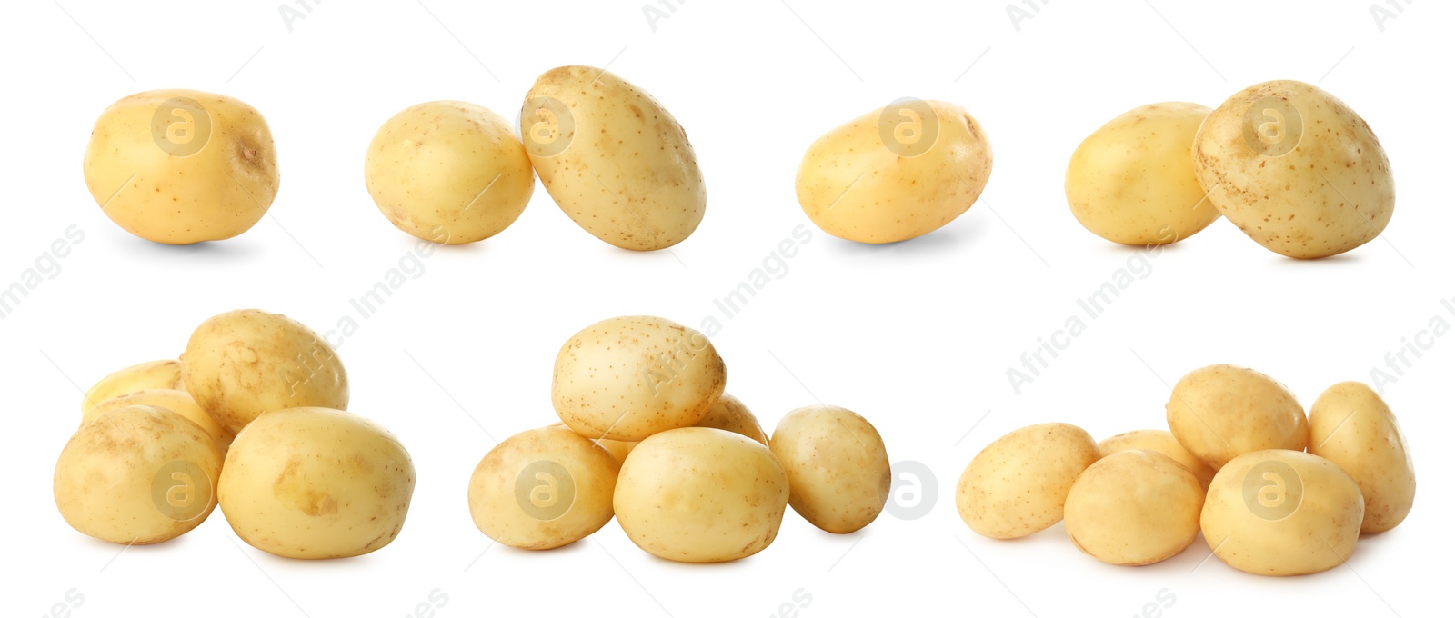 Image of Collage with fresh raw potatoes on white background